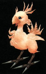 Chocobo